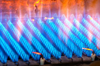 Rosemelling gas fired boilers